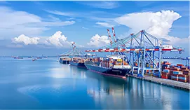 Got the first batch of export rights in the same industry