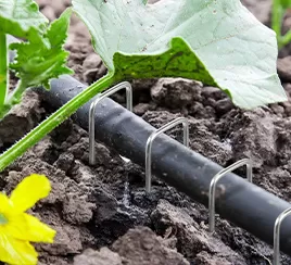 Water pipe irrigation