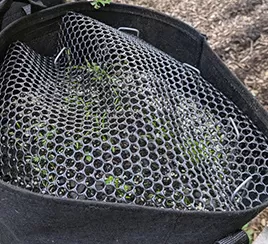 Seedling Landscape Network