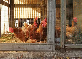 Ease of Installation