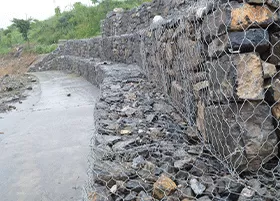 Environmental Benefits