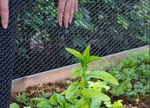 Good Weather Resistance