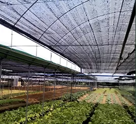 In the field of agriculture