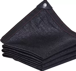 Confirm application and requirements (6-12 hours)