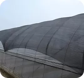 Specifications and sample check (1-2 days)