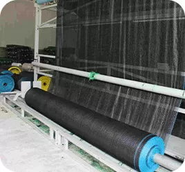 Production (10-15 days)