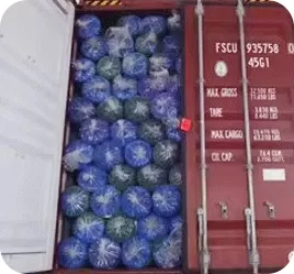 Loading and shipment (2-10 days)