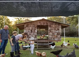 Reduce water evaporation