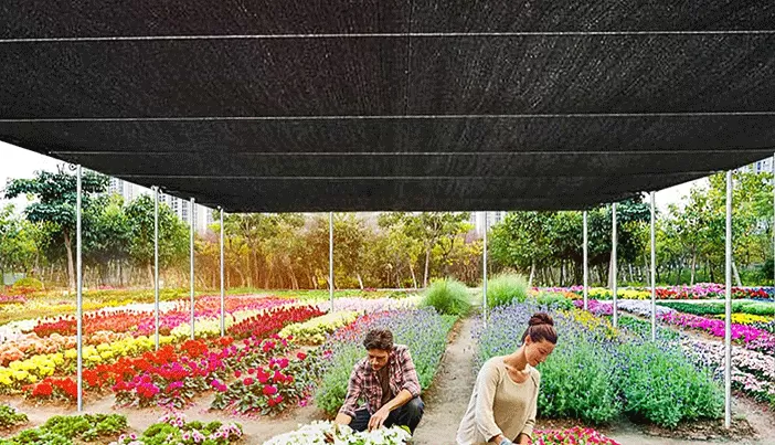 Can you make Sun Shade Net required materials?