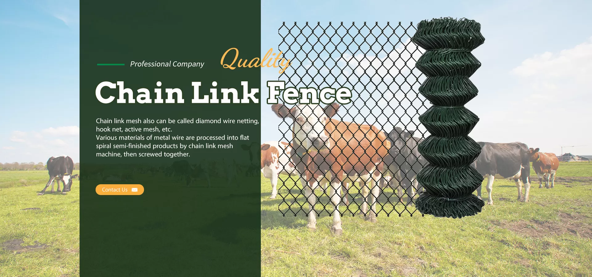 Chain Link Fence