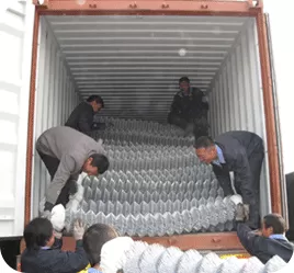 Loading and shipment (2-10 days)