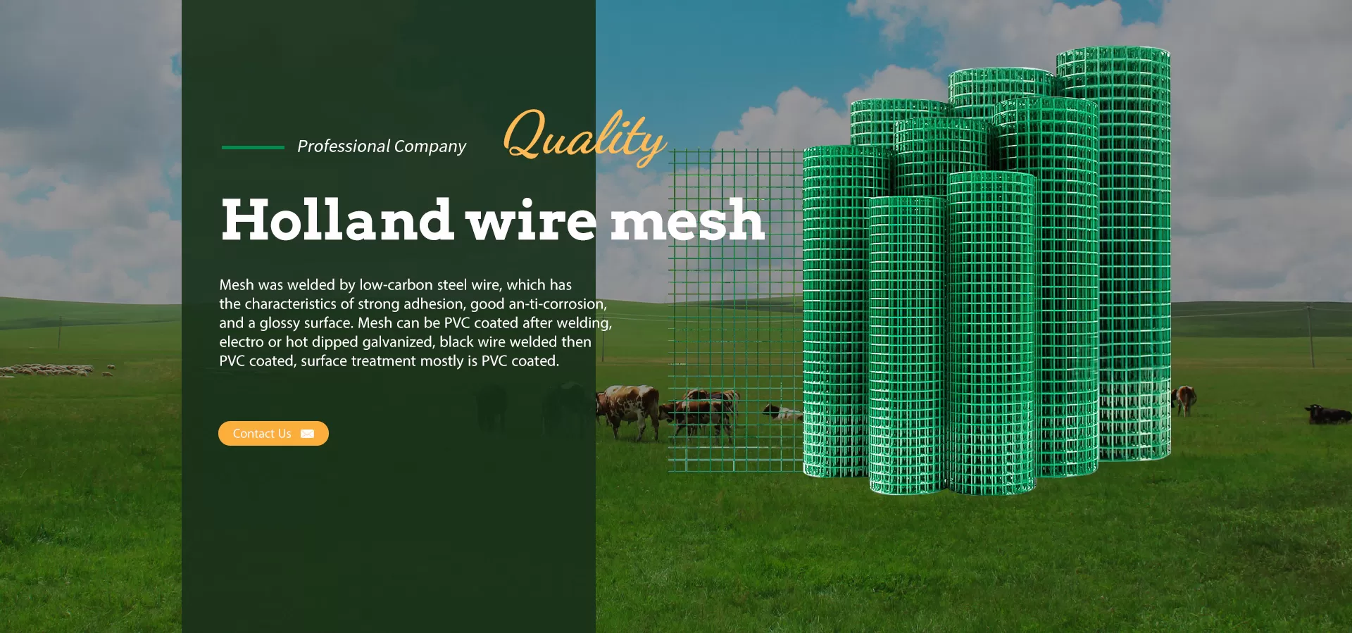Holland Wire Mesh