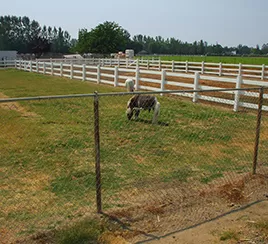 Farm fence