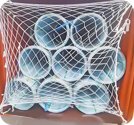 Loading and shipment (2-10 days)