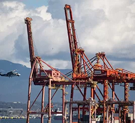 Crane transport aircraft