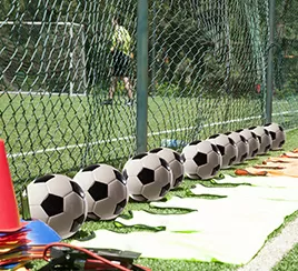 Sports field fence