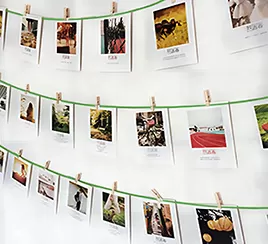 Indoor decoration hook