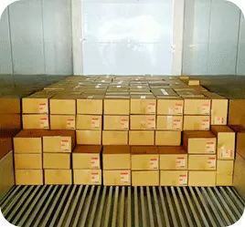 Loading and shipment (2-10 days)