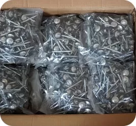 Step 4: Loading and shipment (2-10 days)